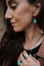 Load image into Gallery viewer, Everyday Earrings