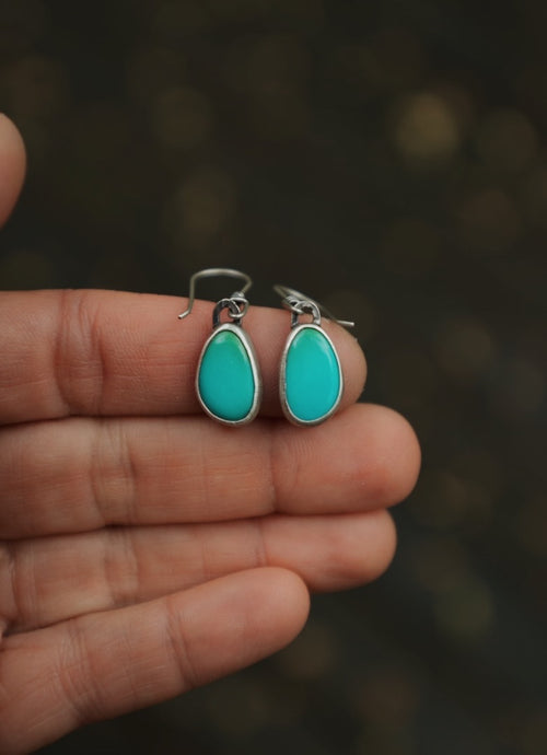 Everyday Earrings