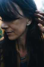 Load image into Gallery viewer, Spawning Salmon Studs PREORDER