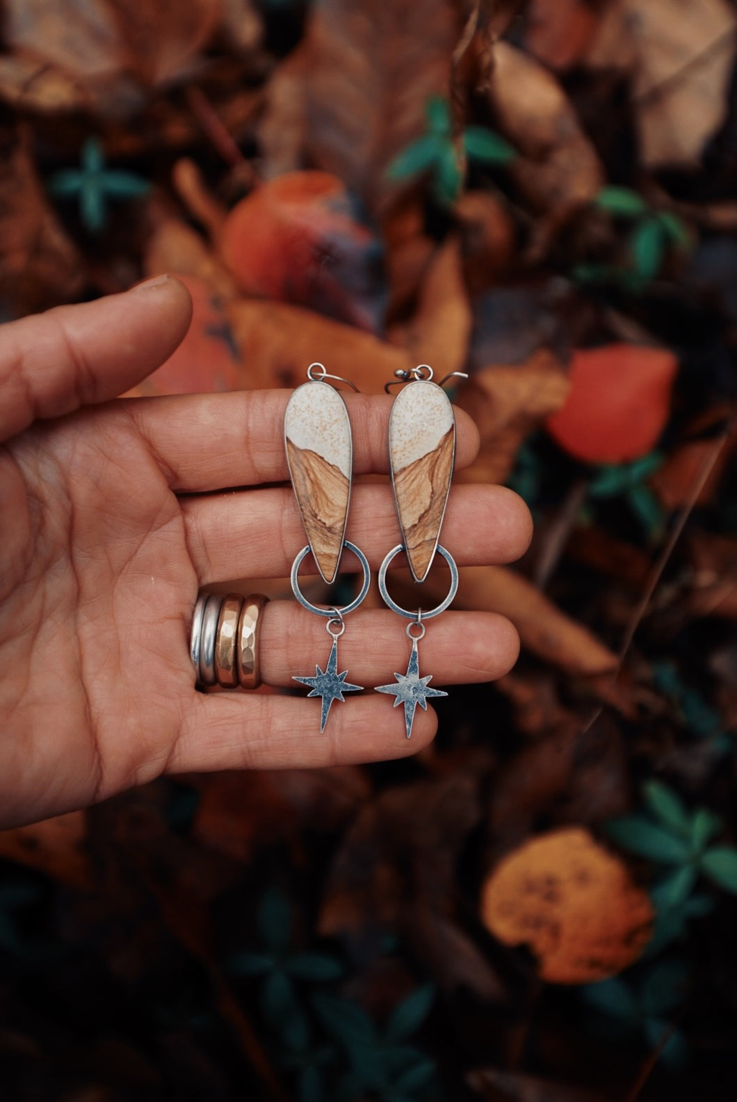 Snake Canyon on a Starry Night Earrings