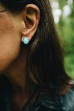 Load image into Gallery viewer, Sonoran Gold Turquoise Studs