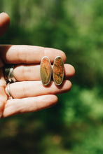 Load image into Gallery viewer, Red Creek Jasper Studs