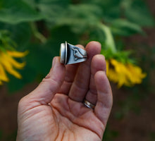Load image into Gallery viewer, Canyon Wren And Wild Horse Jasper Ring
