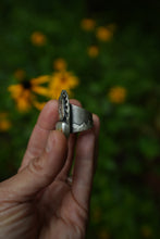 Load image into Gallery viewer, Wild Horse Ring