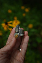 Load image into Gallery viewer, Wild Horse Ring