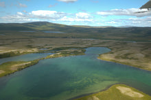 Load image into Gallery viewer, Bear Cuff