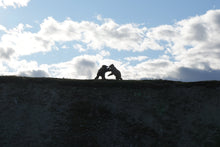 Load image into Gallery viewer, Sparring Bears Necklace