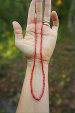 Load image into Gallery viewer, Red Bamboo Coral bead strand