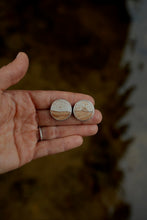 Load image into Gallery viewer, Picture Jasper Studs