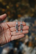Load image into Gallery viewer, Wild Brown (trout) Earrings