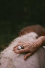 Load image into Gallery viewer, Wild Horse Ring