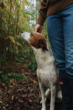 Load image into Gallery viewer, Appalachia Cottontail Necklace