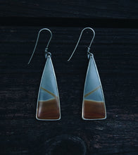 Load image into Gallery viewer, Night Sounds Earrings