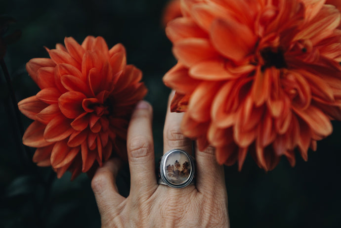 Red Oak Story Ring