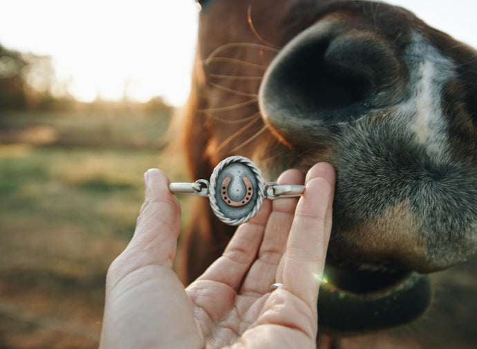 Horseshoe Bracelet